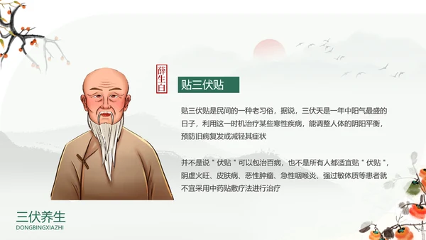冬病夏治中医康养理疗通用PPT课件模板