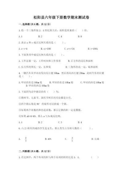 松阳县六年级下册数学期末测试卷【word】.docx