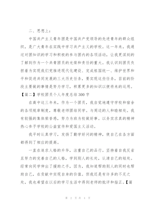 学校团员个人年度总结300字.docx