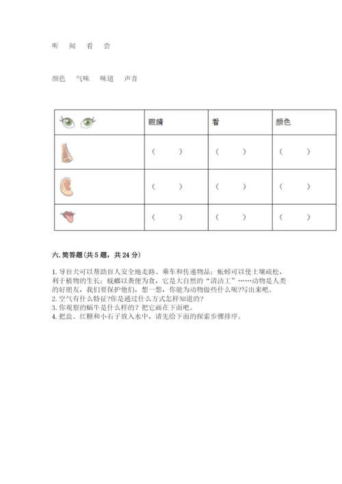 教科版小学科学一年级下册期末测试卷（夺冠系列）.docx