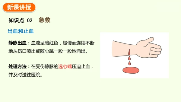 8.2用药与急救-八年级生物人教版下学期同步精品课件(共38张PPT)
