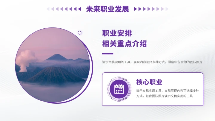 紫色高端风大学生职业生涯规划PPT模板