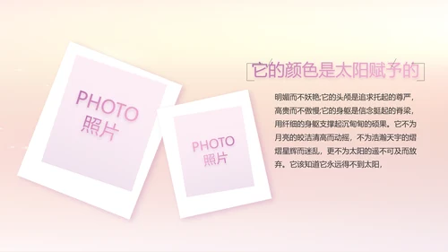 宝宝2周岁生日快乐派对纪念册PPT