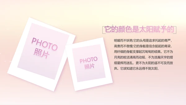 宝宝2周岁生日快乐派对纪念册PPT
