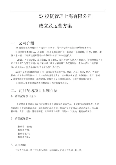 新公司成立运营方案