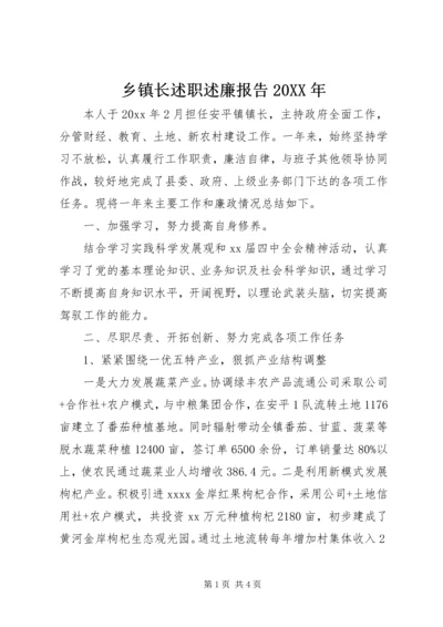 乡镇长述职述廉报告某年.docx