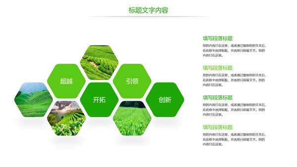 唯美绿色茶园文化茶艺品茶论道动态PPT模板