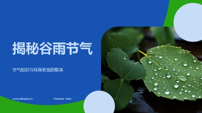 揭秘谷雨节气