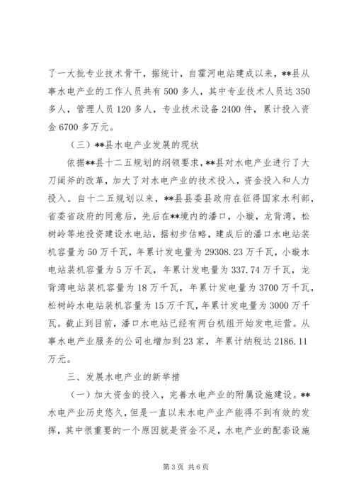 发展水电产业调研报告.docx