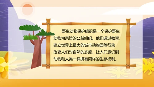 国际动物保护日世界动物日PPT模板