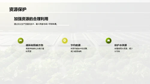 绿色蔬菜：环保加工