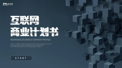 简约风立体方块形状互联网商业计划书PPT