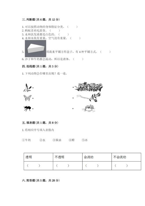 教科版一年级下册科学期末测试卷附参考答案（基础题）.docx