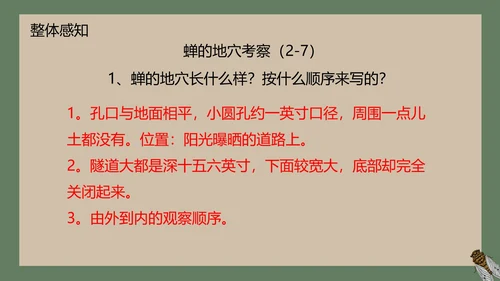八年级下册蝉课件PPT模板