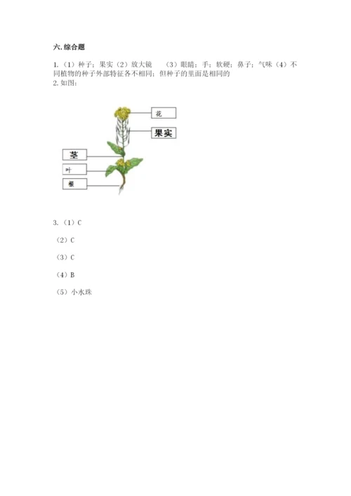 科学四年级下册第一单元植物的生长变化测试卷附参考答案（名师推荐）.docx