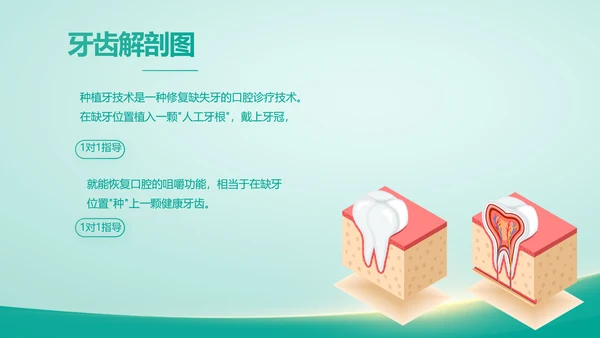 蓝色医疗牙科商业计划书动态PPT模板