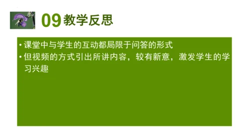 2.2.3植物体的结构层次 【说课课件】2023--2024学年人教版生物七年级上册(共42张PPT