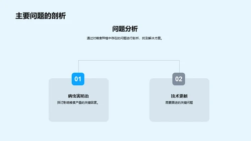 粮食种植全面分析