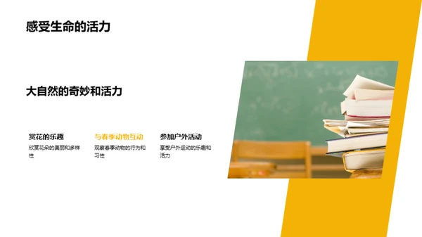 春分的奥秘与乐趣