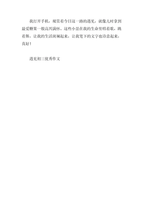 2024年遇见初三优秀作文