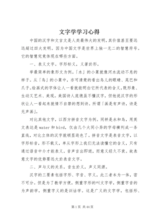 文字学学习心得.docx