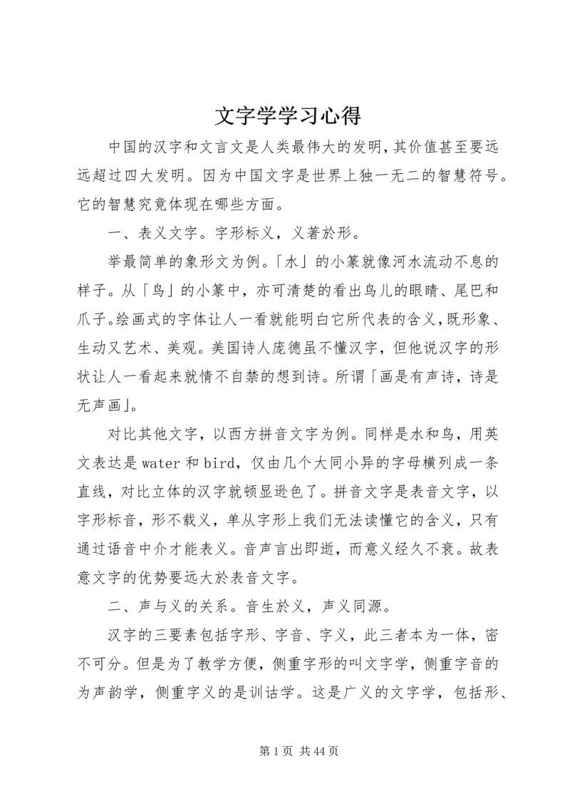 文字学学习心得.docx