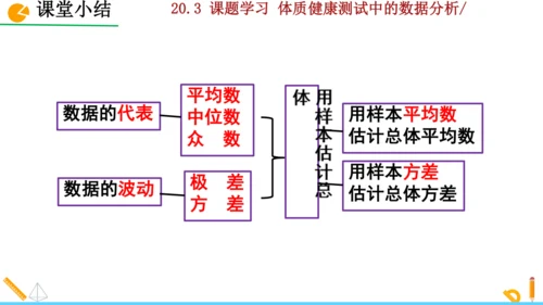 20.3课题学习 体质健康测试中的数据分析