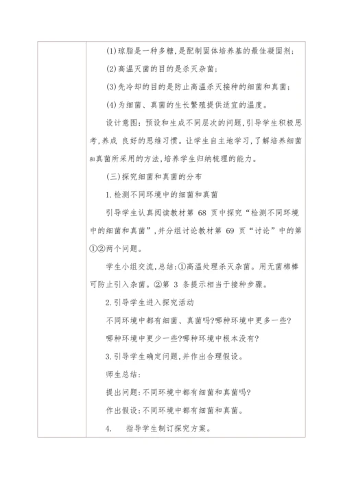 5.4.1细菌和真菌的分布