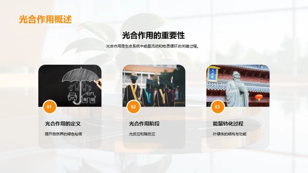 绿色能源之源