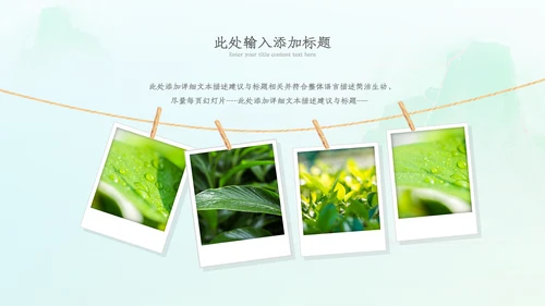 植树节绿色环保低碳植树林业绿化动态ppt模板