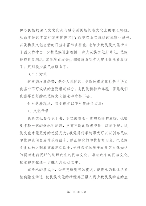 少数民族民俗文化传承与保护调研报告.docx