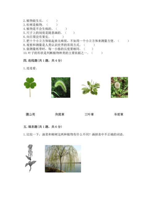 教科版科学一年级上册期末测试卷附参考答案【轻巧夺冠】.docx