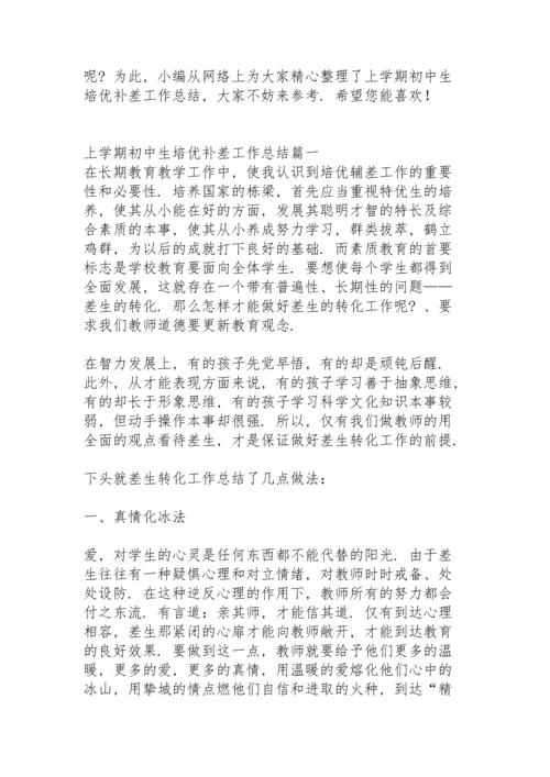 初中上学期教师个人培优补差工作总结.docx