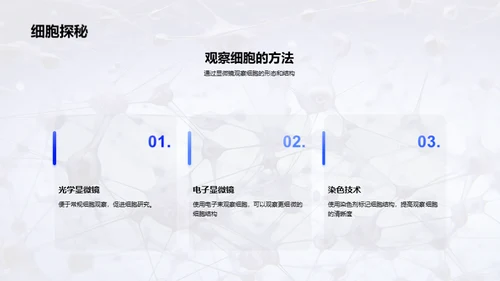 商务风生物医疗教学课件PPT模板