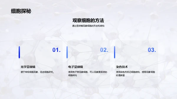 商务风生物医疗教学课件PPT模板