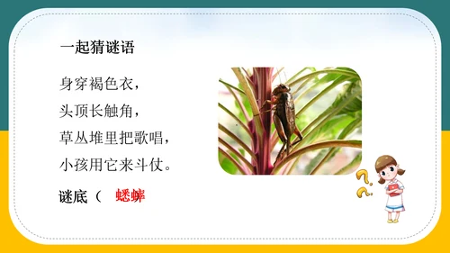 小学语文《在牛肚子里旅行》教育教学PPT课件