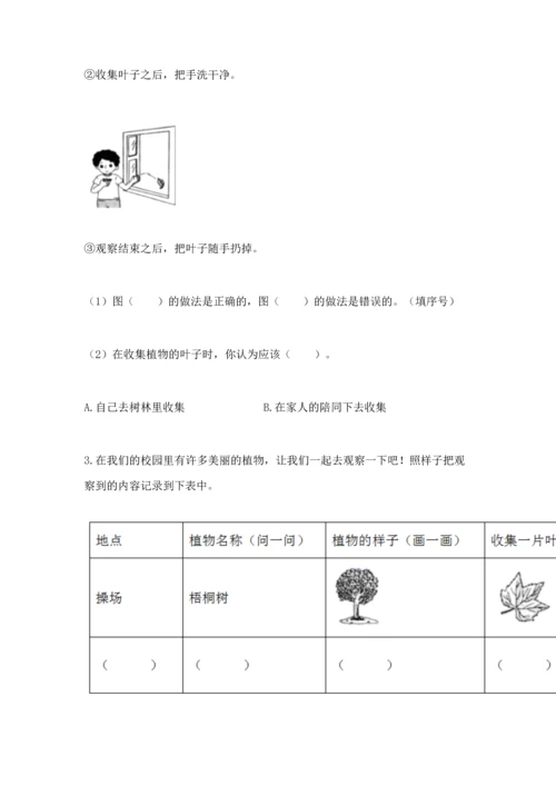 教科版科学一年级上册第一单元《植物》测试卷（word）.docx