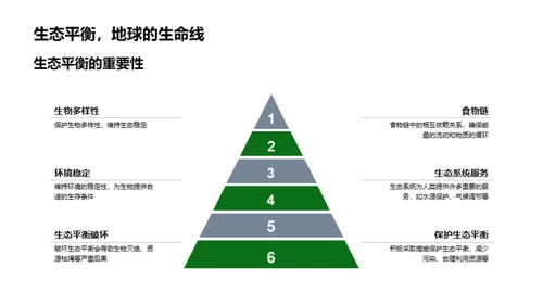 探索生态宇宙