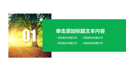 环保绿色森林林业管理工作汇报PPT模板