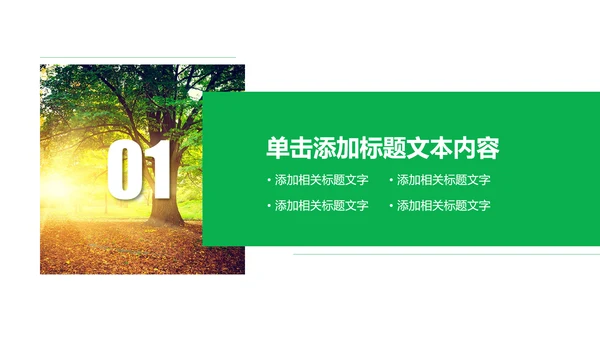 环保绿色森林林业管理工作汇报PPT模板