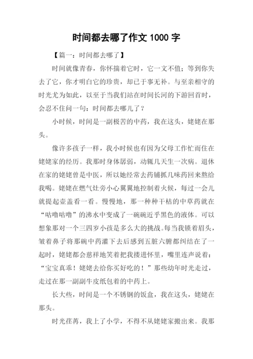 时间都去哪了作文1000字.docx