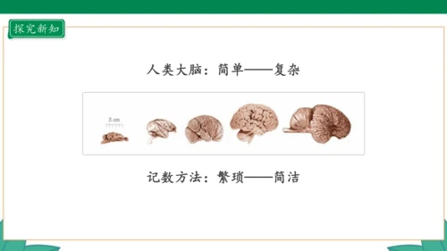 新人教版4年级上册 1.7 数的产生 教学课件（41张PPT）