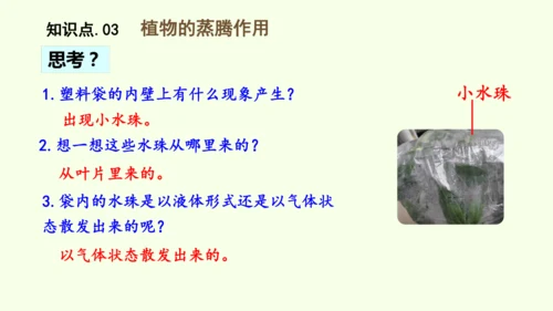3.2.1水的利用与散失-七年级生物下学期同步精品课件（2024人教版）(共32张PPT)