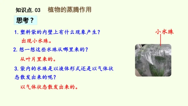 3.2.1水的利用与散失-七年级生物下学期同步精品课件（2024人教版）(共32张PPT)