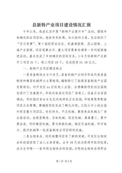 县新特产业项目建设情况汇报.docx