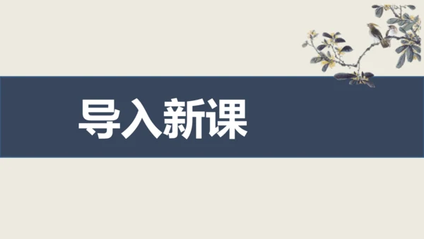 部编版九下语文第六单元课外古诗之《南安军》 同步课件
