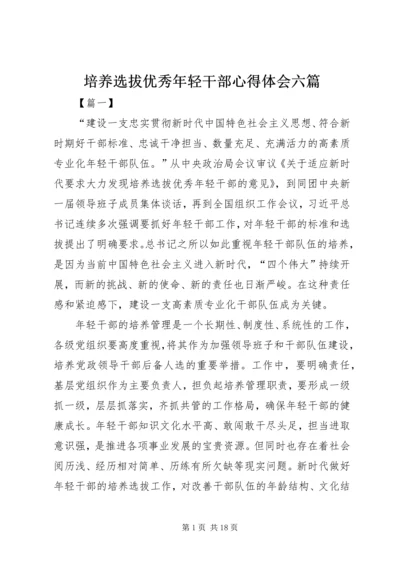 培养选拔优秀年轻干部心得体会六篇.docx