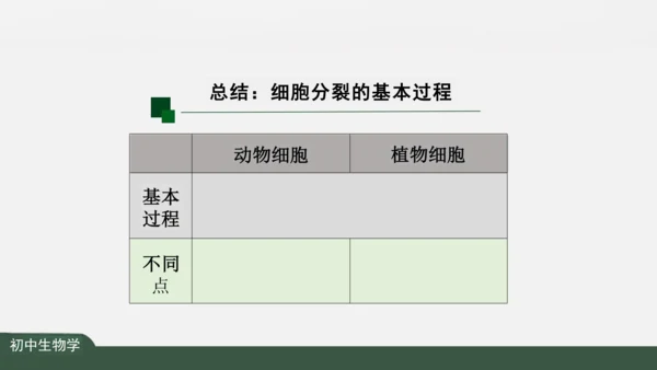 2.2.1 细胞通过分裂产生新细胞 课件（共22张PPT）