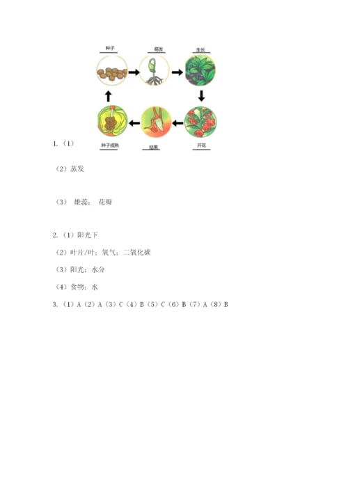 教科版科学四年级下册第一单元《植物的生长变化》测试卷【word】.docx