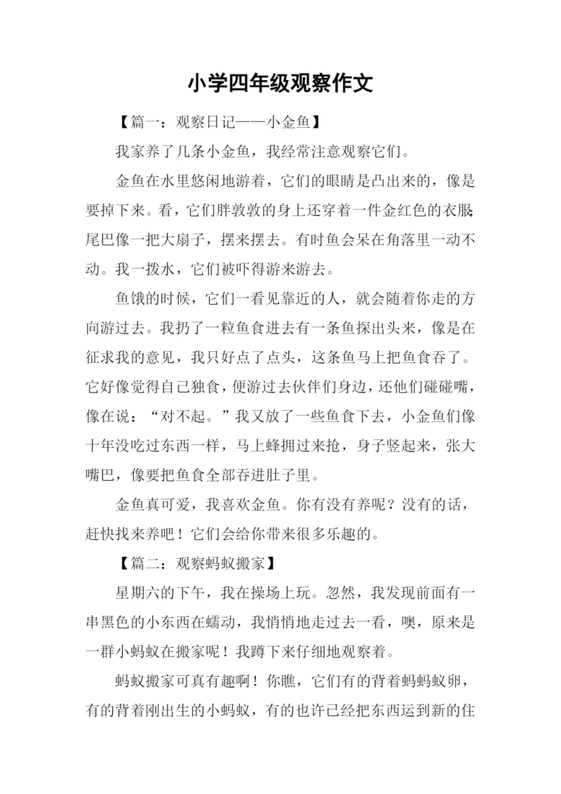 小学四年级观察作文-1.docx